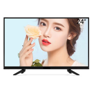 Factory Price Low Cost Competitive 24inch LED TV AC DC 12V Optional